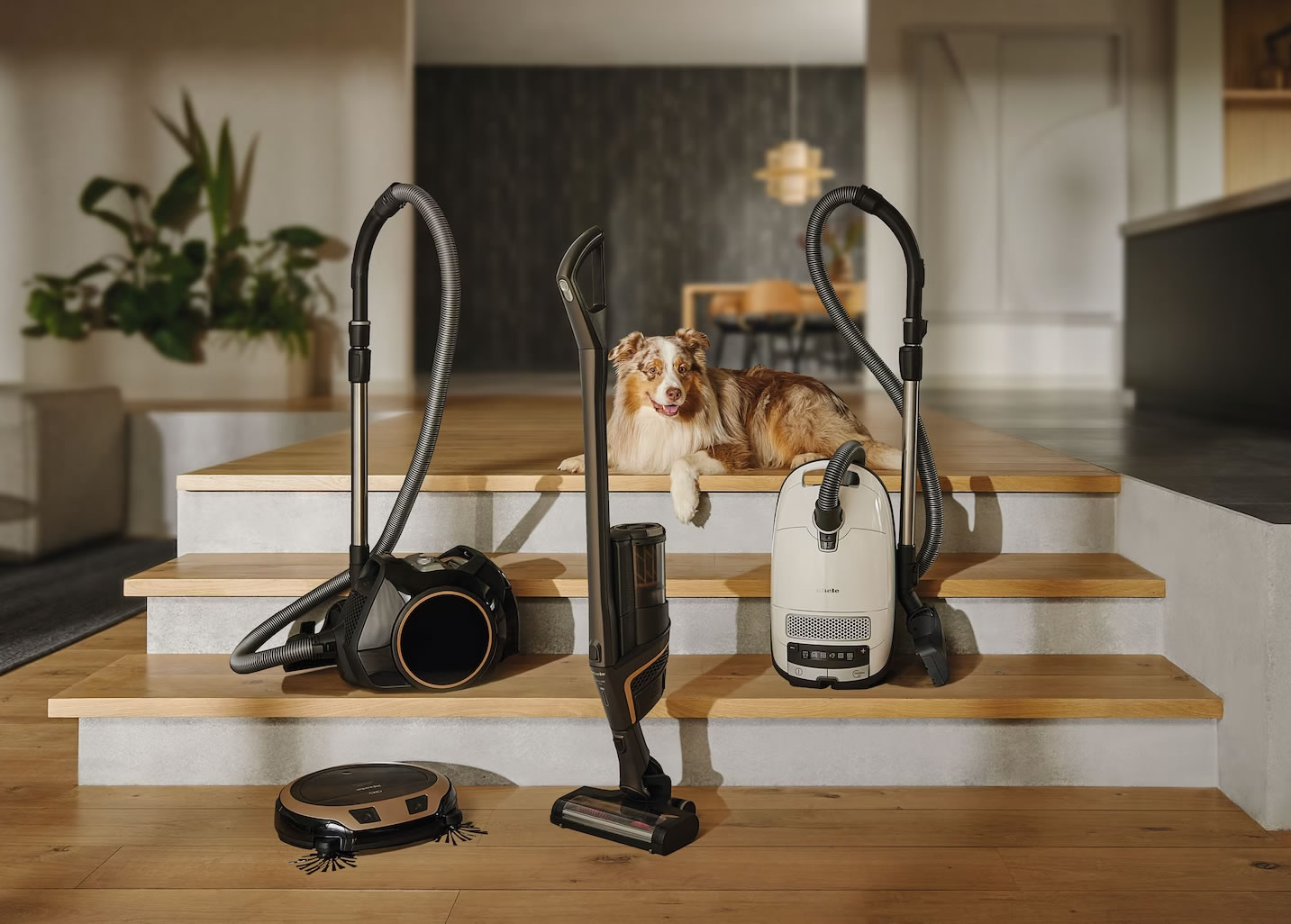 miele-vacuum-cleaners-cape-cod-hyannis-orleans